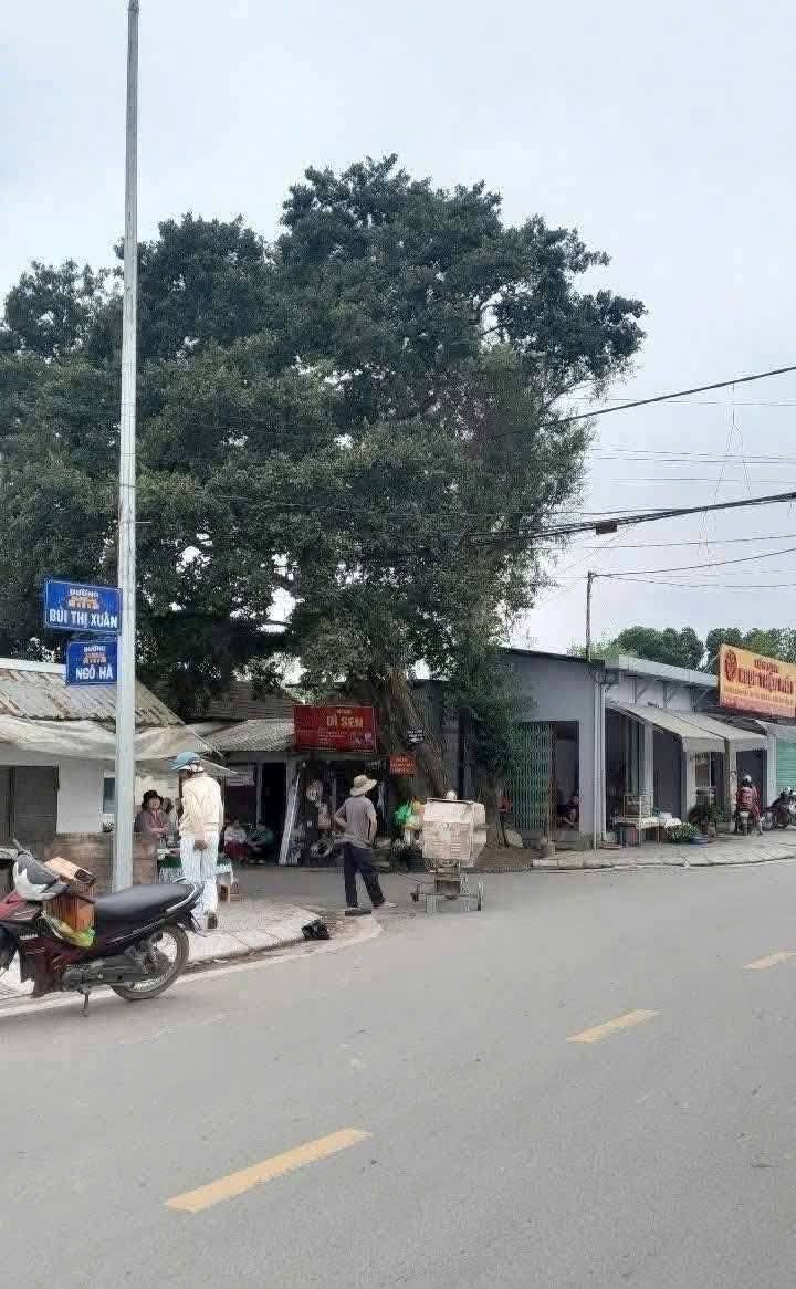 Đất nền Thủy Xuân Huế 115m² giá 950 triệu - Sổ hồng chính chủ