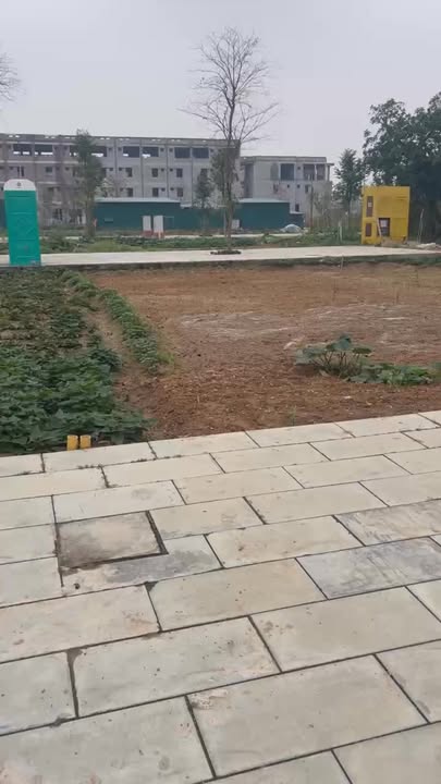 Đất nền Khu Đô Thị Nam Việt, Việt Trì - 90m² Giá 3 Tỷ - Cạnh Sân Pikaball