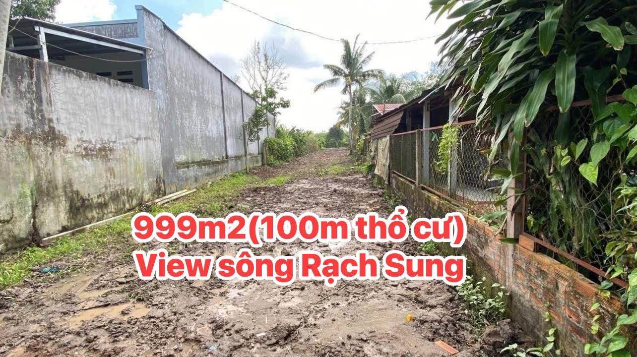 Bán Đất 999m² Phong Điền Cần Thơ - View Sông Rạch Sung, Sổ Đỏ