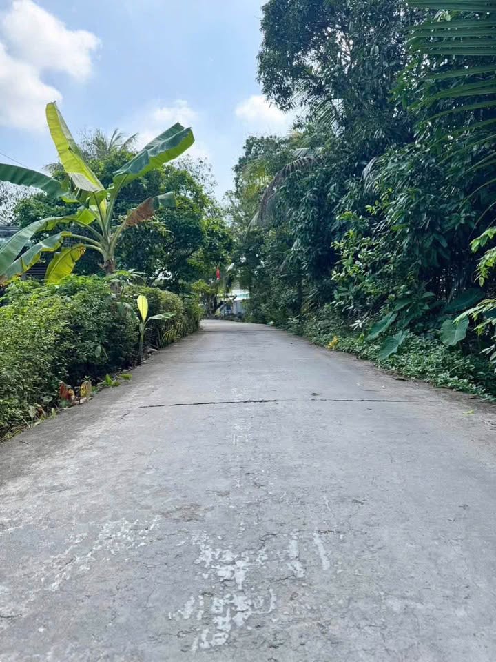 Đất nền Phong Điền Cần Thơ 88m² - Sổ đỏ chính chủ, ô tô tới đất!