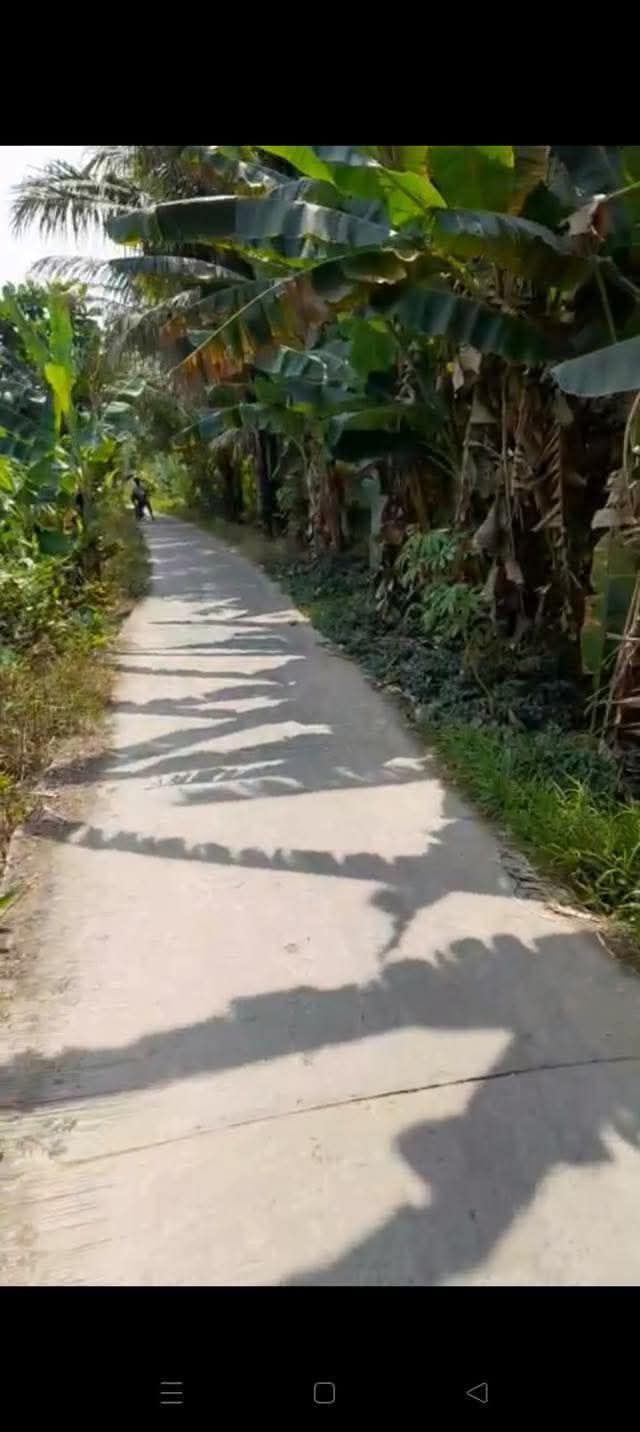 Đất Vườn Sóc Trăng 36.000m² - Cơ hội đầu tư dài hạn!