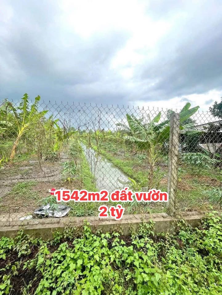 Đất Vườn Nhơn Ái Phong Điền 1542m² - Tiềm năng tăng giá vượt trội!