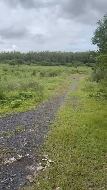 Đất nền Ấp Cần Dực Lộc Thành 1.000m² - Pháp lý rõ ràng