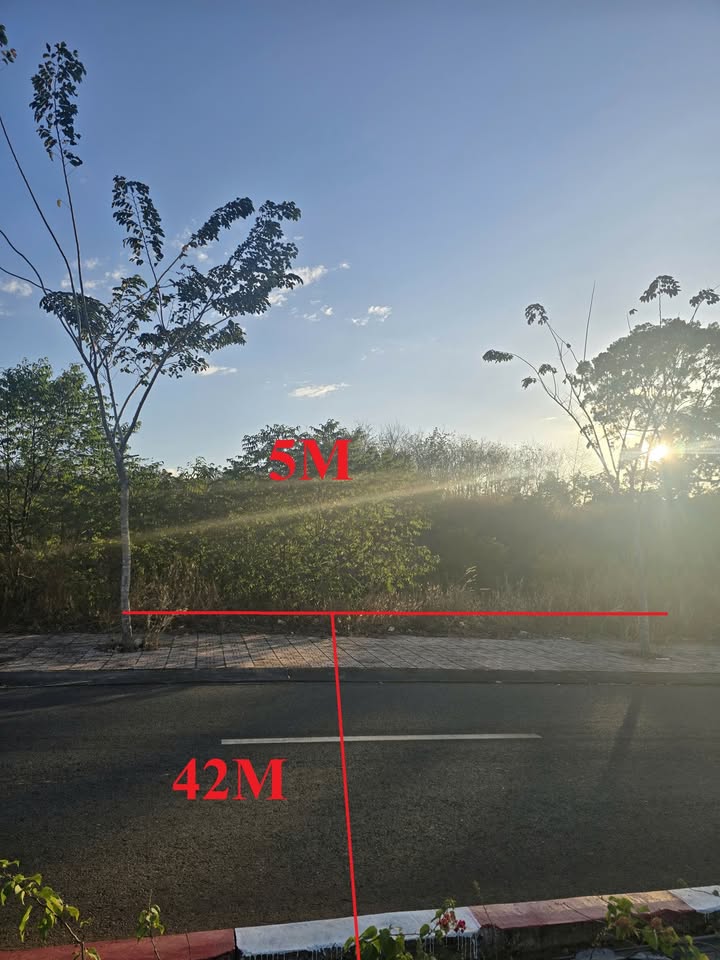 Đất nền Tân Hòa, Đồng Phú 150m² - Đường lớn 42m, tiềm năng vượt trội!