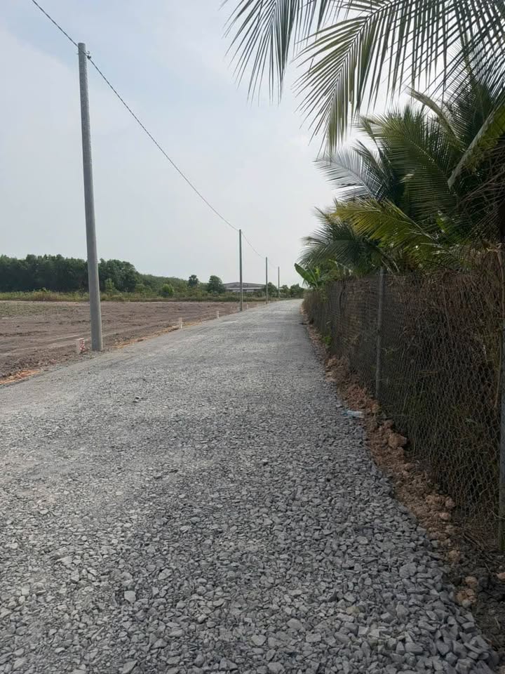 Đất vườn Châu Thành Tây Ninh 1000m² chỉ 2xx triệu - Sổ hồng sẵn!