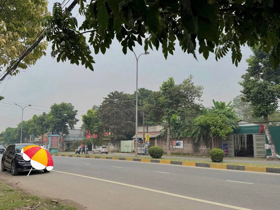 Đất nền Đại Lộ Hùng Vương Việt Trì 60m² - Tiềm năng tăng giá vượt trội!