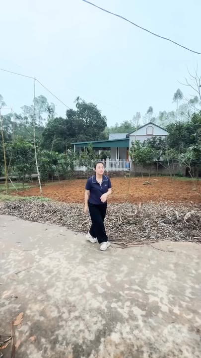 Đất nền Phú Thọ 228m² nhỉnh 1 tỷ - Đất thổ cư 100%, ô tô tận nơi!