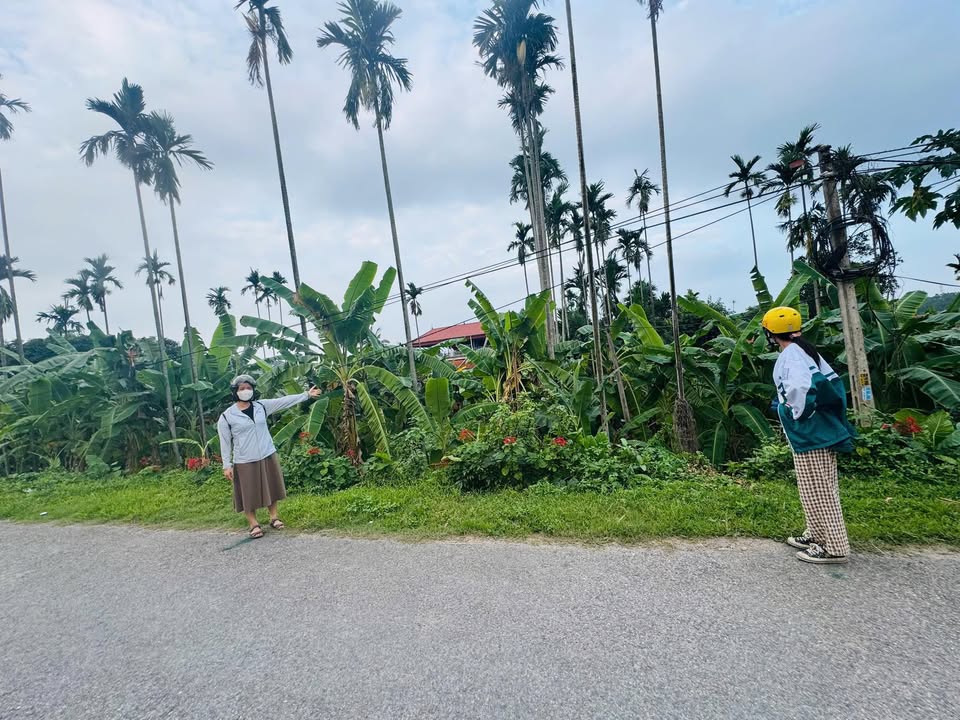 Đất nền Tam Nông, Phú Thọ 93.3m² - Tiềm năng tăng giá vượt trội!