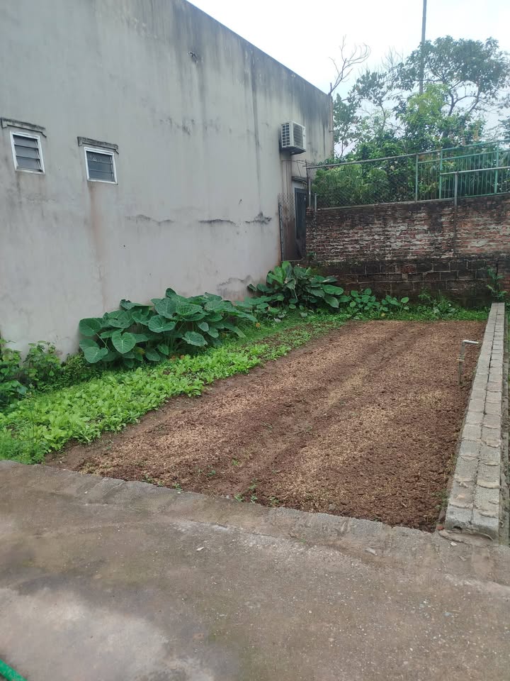 Đất nền Thư Phú Thường Tín 54.9m² - Tiềm năng tăng giá vượt trội!