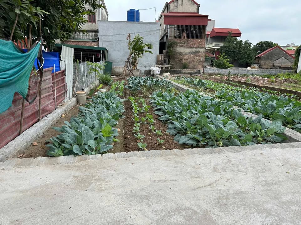 Đất nền Vĩnh Lộc A Bình Chánh 99m² - Tiềm năng tăng giá vượt trội!