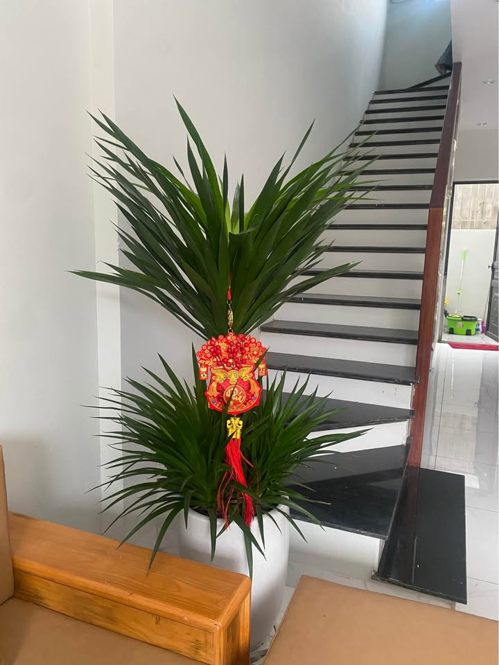 Đất Vàng 400m² Mặt Tiền Lớn Gần UB Huống Thượng, Thái Nguyên - Sổ Đỏ Sẵn Sàng