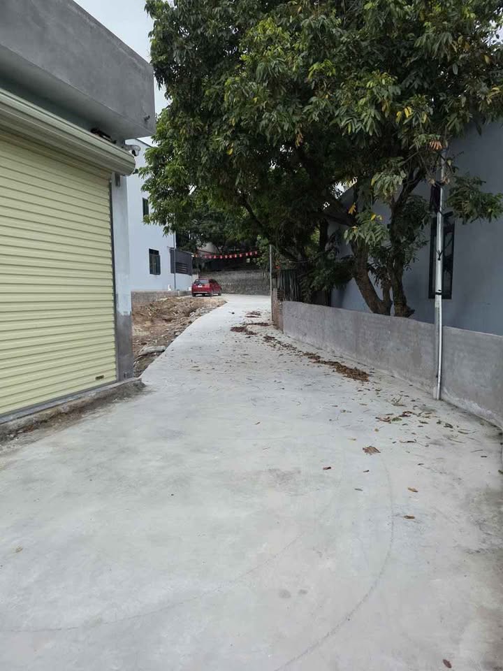 Đất nền Mạo Khê, Đông Triều 115.6m² - Sổ đỏ chính chủ, ô tô vào tận nơi!