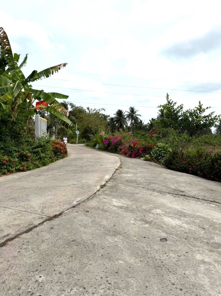 Đất nền Mỹ Tho 300m² (chia 2 nền) - Sổ đỏ chính chủ, giá 1.1 tỷ