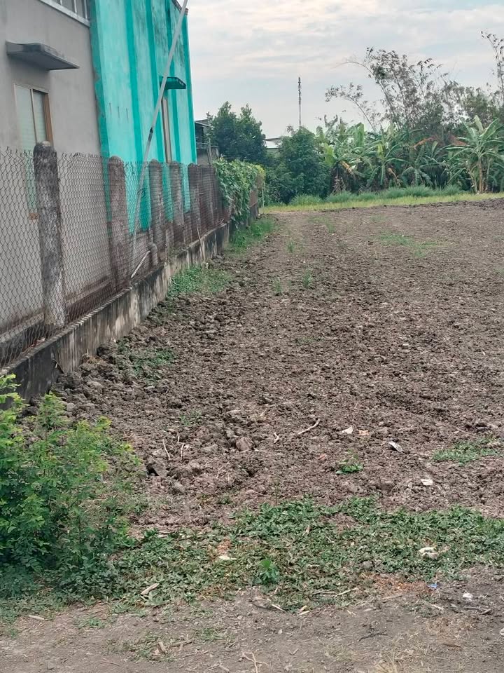 Bán Đất Nền 215m² Mặt Tiền Đường Nhựa - Ấp Khương, Bắc Bình