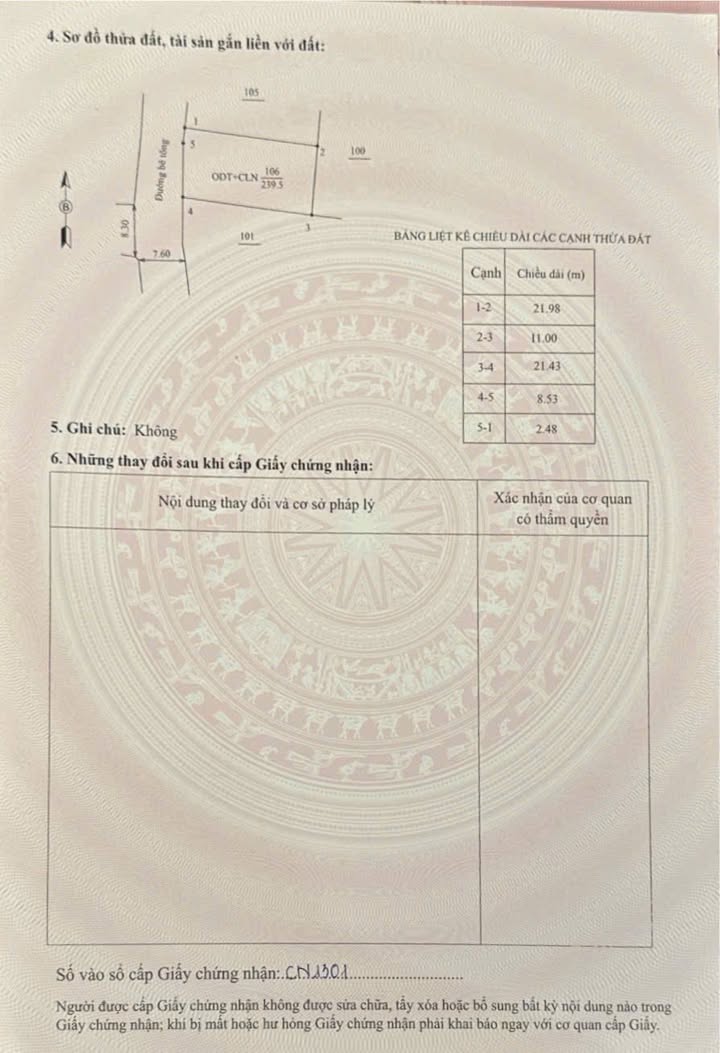 Bán đất 239.5m² Trại Thượng, Chí Linh - Sổ đỏ thổ cư, giá 999 triệu