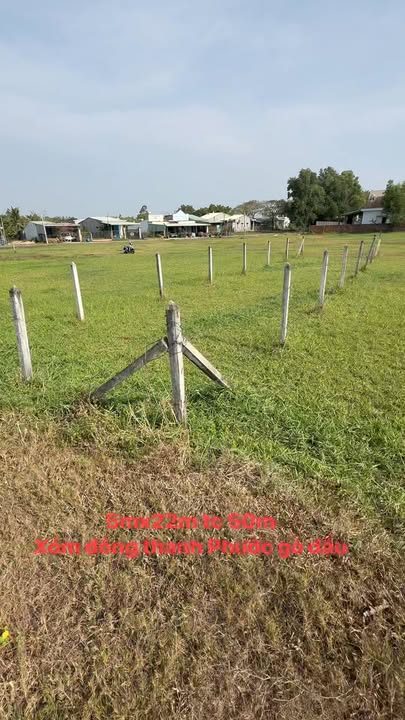 Đất nền Hẻm 1 Cây Me, Gò Dầu 110m² - Tiềm năng tăng giá vượt trội!