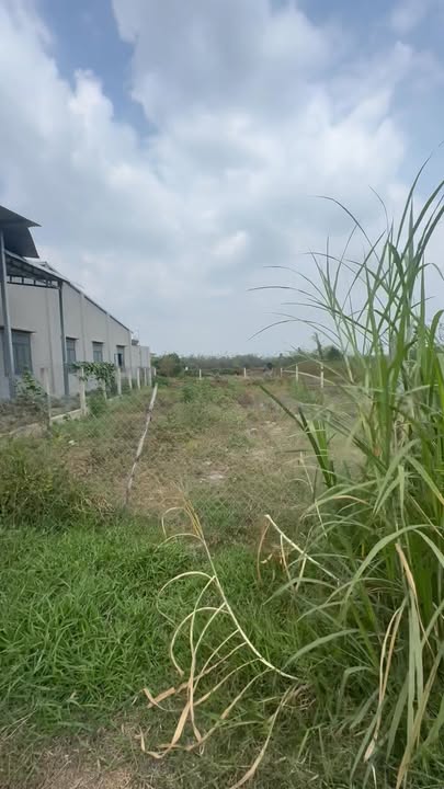 Đất nền Trảng Bàng 270m² giá 850 triệu - Sổ hồng sẵn sàng!