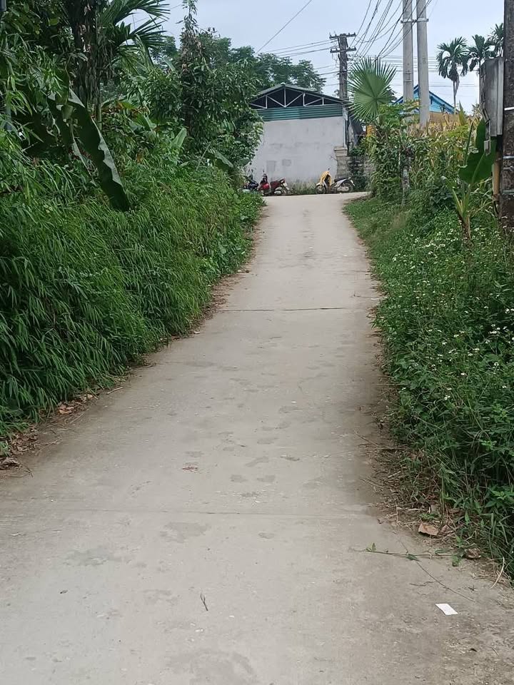 Bán đất vườn Lục Yên 2360m² hơn 300 triệu - Đầu tư dài hạn