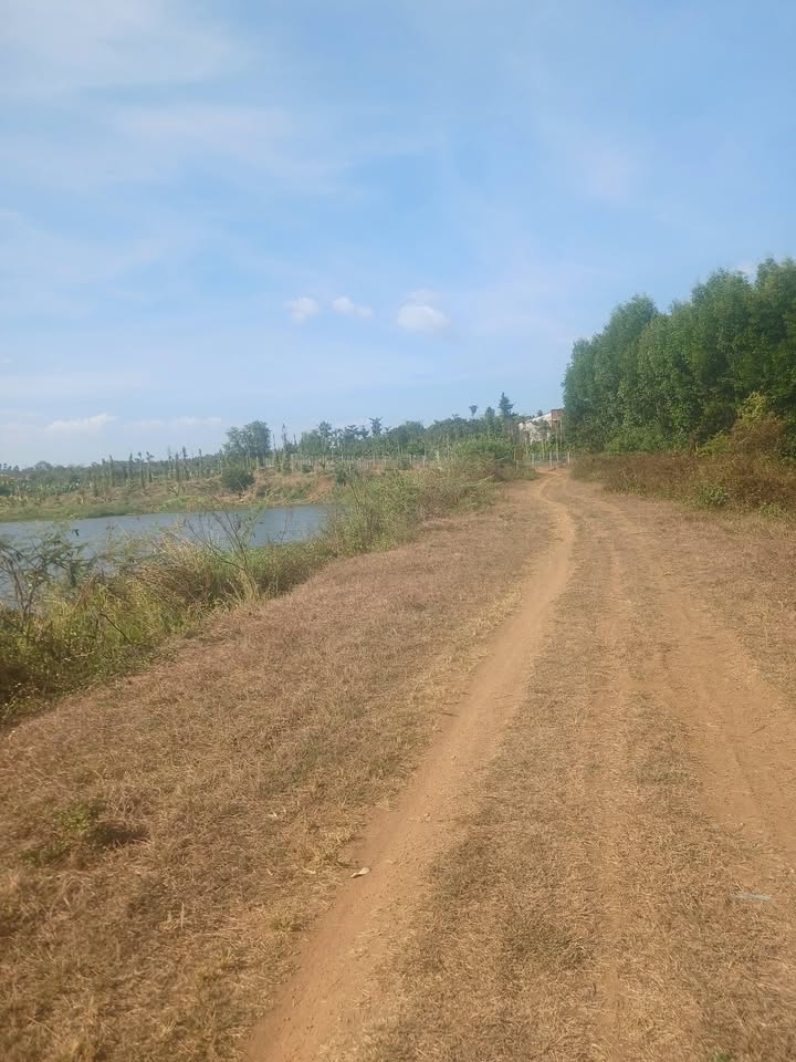 Đất Vườn Lâm San Cẩm Mỹ 15.600m² Giá 1.521 Tỷ - View Hồ Nghỉ Dưỡng Lý Tưởng