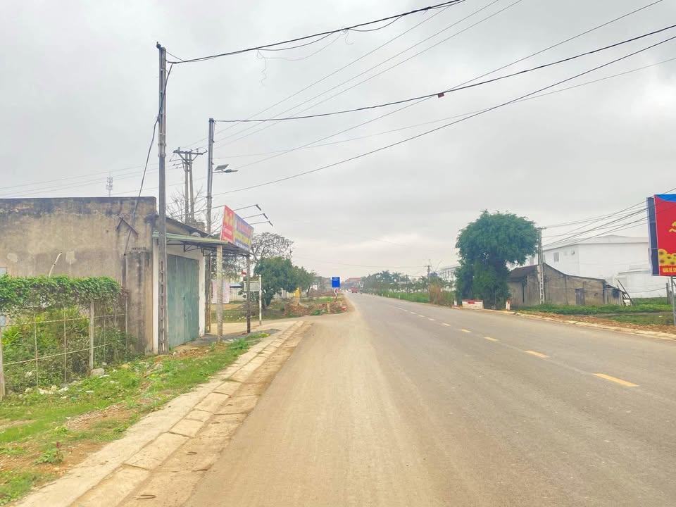 Đất nền TL526 Hậu Lộc 132m² giá 3 tỷ - Vị trí đắc địa kinh doanh ngay!