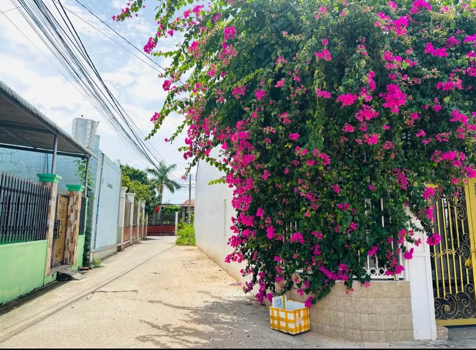 Đất nền Phan Thiết 100m² giá 1.7 tỷ - Đất thổ cư 100%!