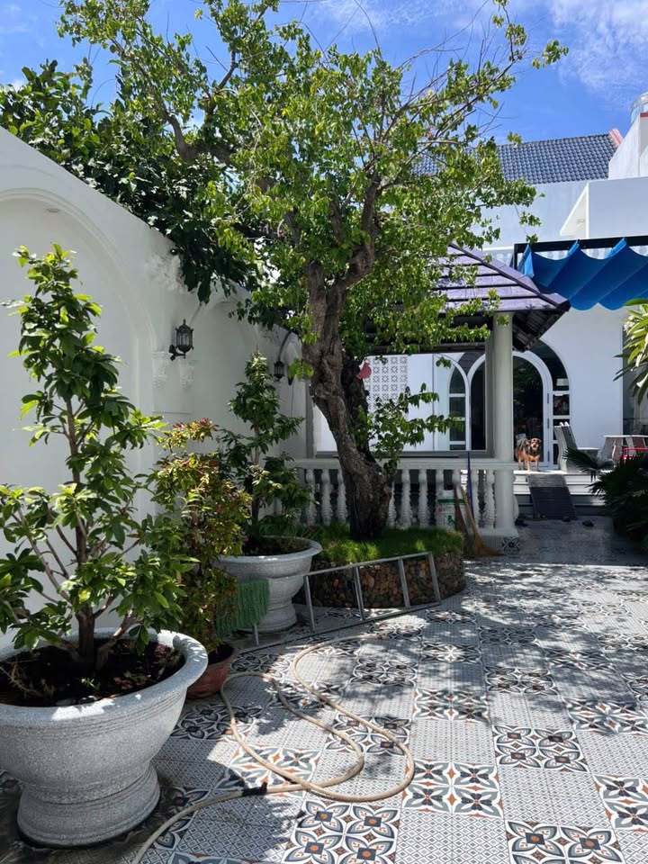 Nhà Vườn & Nhà Lầu Liên Hương 270m² giá 5 tỷ - Giá tốt hiếm có!