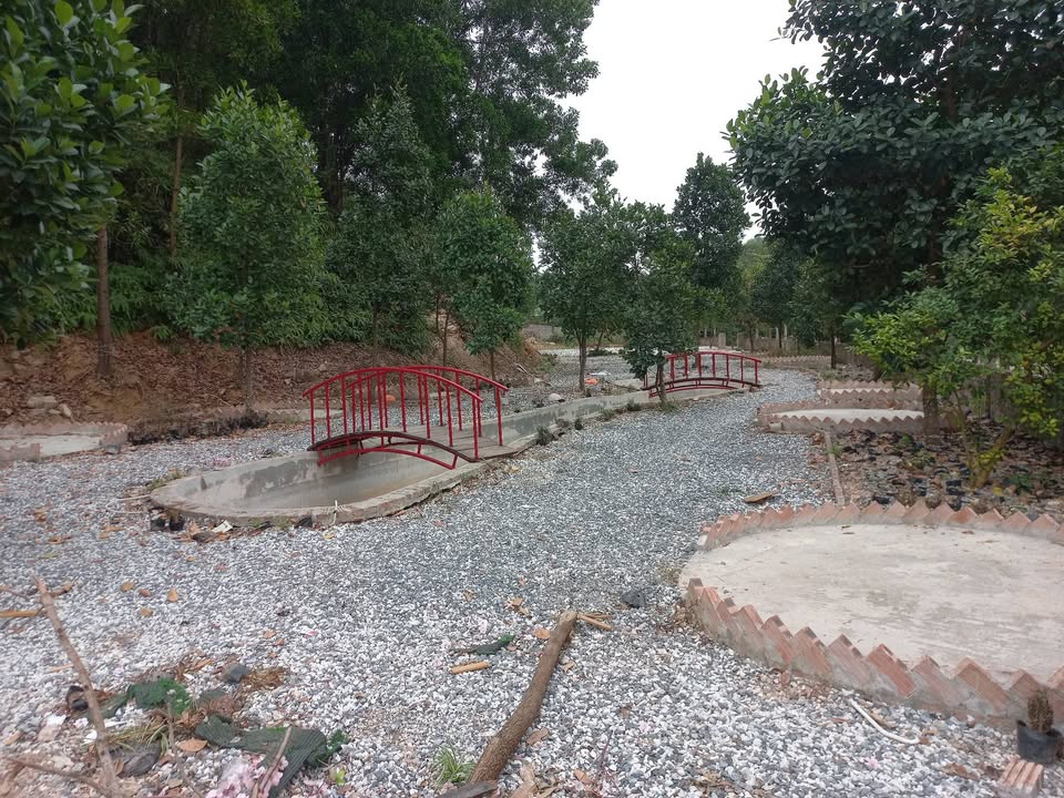 Cho thuê kho xưởng Sóc Sơn 2000m² - Giá 10 triệu/tháng