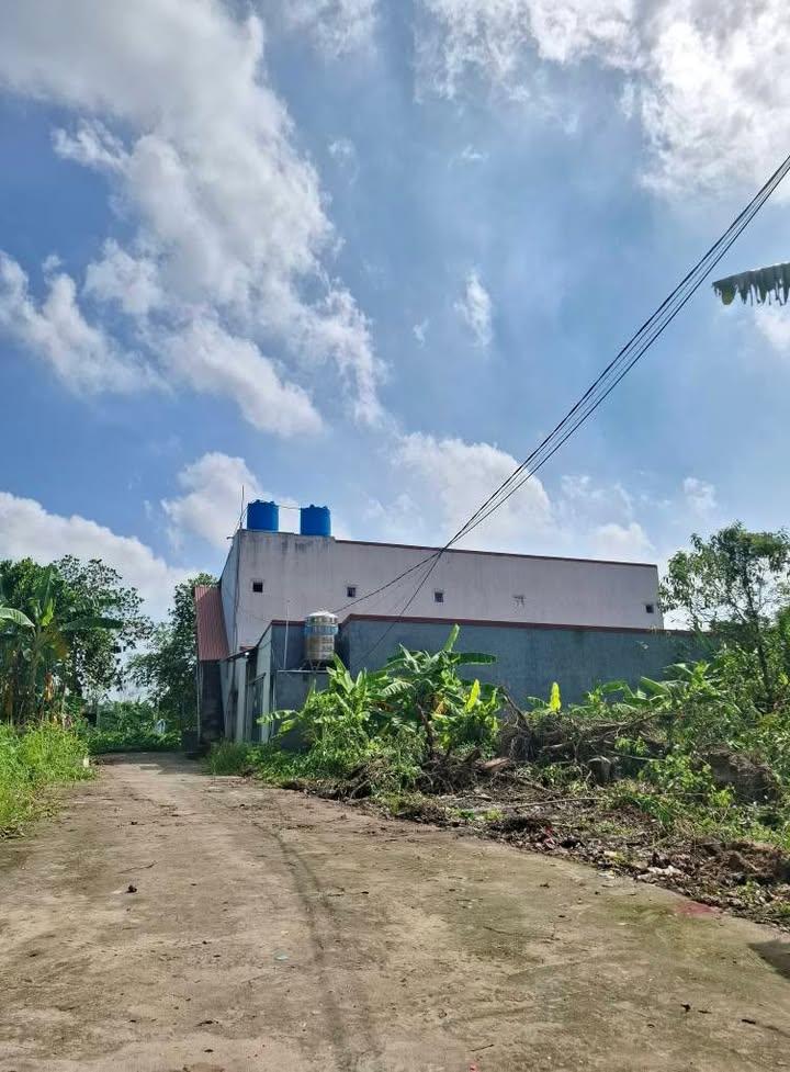 Đất nền Cẩm Giàng 152m² giá 1 tỷ - Sổ đỏ sẵn sàng, xây trọ cực đỉnh!