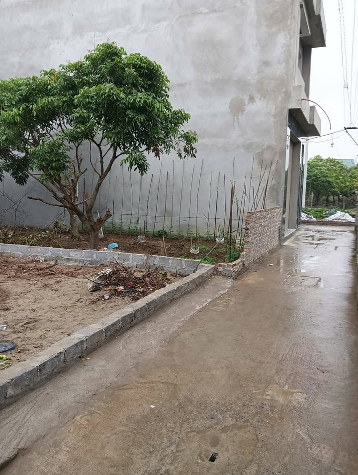 Đất nền Thường Tín 54.9m² - Sổ đỏ sẵn, gần Chợ, Trường học