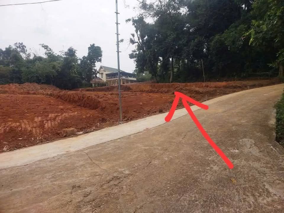 Bán Đất Phù Ninh 190m² - Sẵn Sổ Hồng, Giá Tốt Đầu Tư