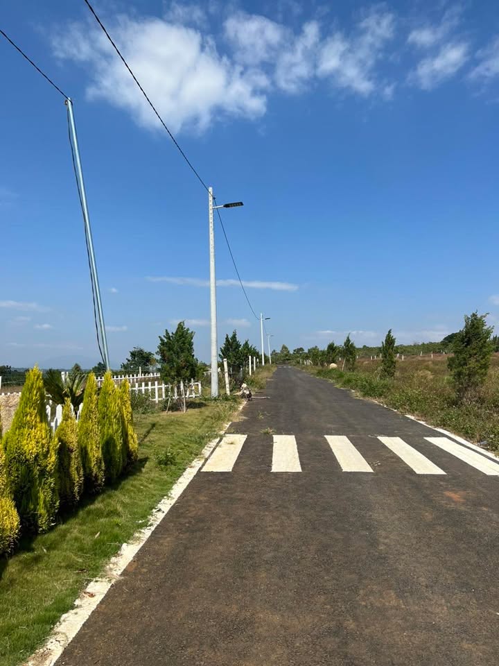 Đất Biệt Thự View Đồi Săn Mây Lộc Ngãi, Bảo Lâm - 506m² Sổ Hồng Riêng