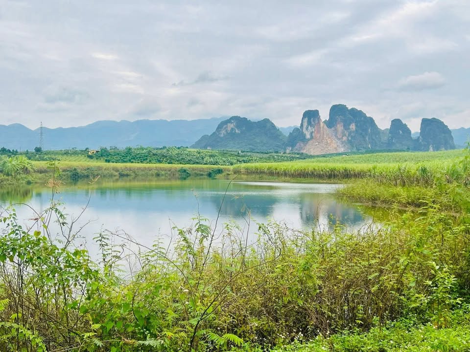 Bán Đất Nghỉ Dưỡng Cao Phong 4145m² - View Hồ, Nghỉ Dưỡng Lý Tưởng!