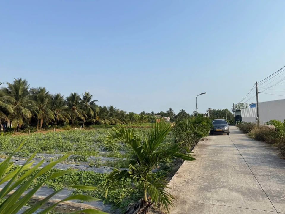 Đất thổ cư 145m² mặt tiền đường 6m Tân Trụ, Long An - Giá 649 triệu