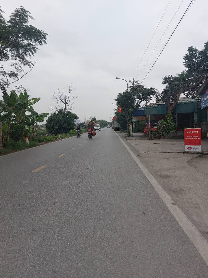 Đất nền Quốc Tuấn An Lão 61m² - Sổ đỏ chính chủ, ô tô vào tận nơi!