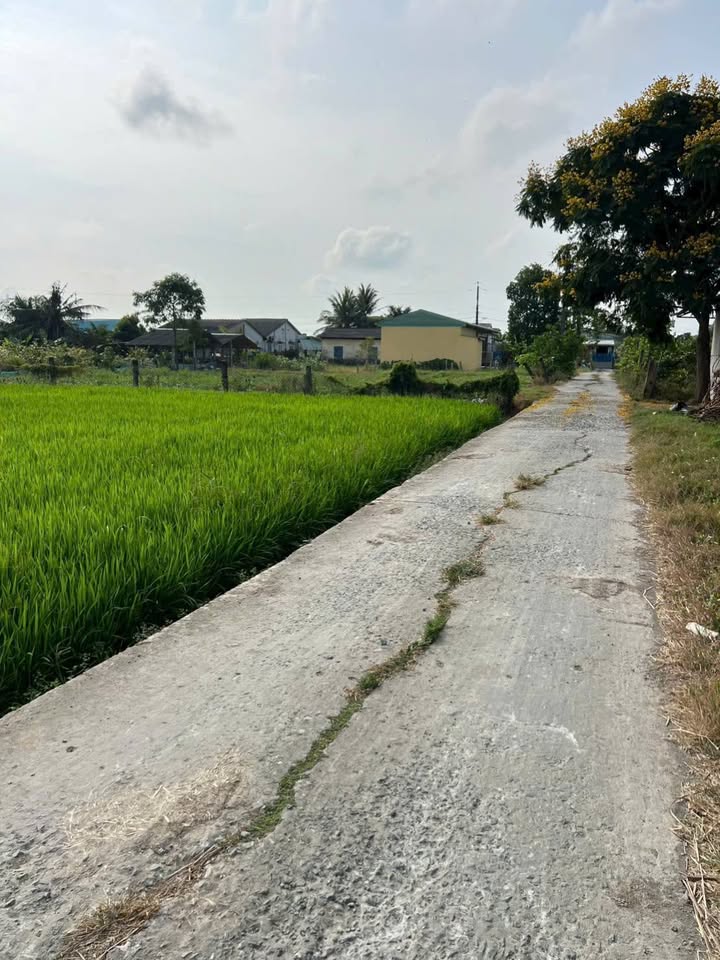 Đất thổ cư 140m² tại Tân Trụ, Long An - Giá 495 triệu, thương lượng