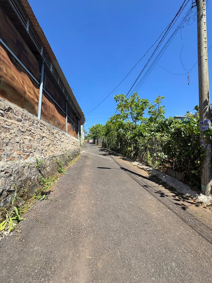 Bán Đất Thổ Cư 194m² Hẻm 47 Trần Nguyên Hãn, Bảo Lộc - Sẵn Sàng Xây Dựng