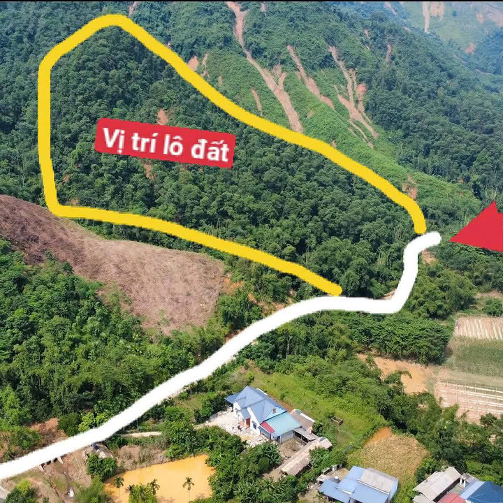 Bán đất rừng sản xuất 50.000m² tại Mỹ Lung, Phú Thọ - Giá đầu tư