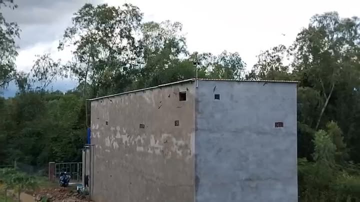 Đất Vườn 4000m² Ninh Hòa - Có Nhà Yến & Cây Ăn Trái - Giá 1.1 Tỷ