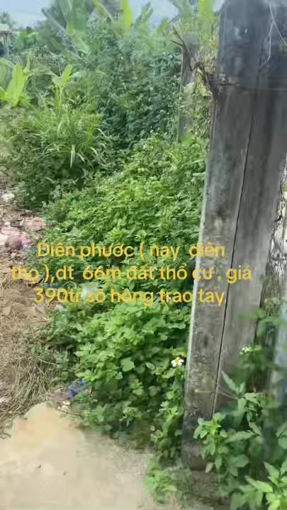 Đất thổ cư Diên Khánh 66m² giá 390 triệu - Sổ hồng sẵn sàng!