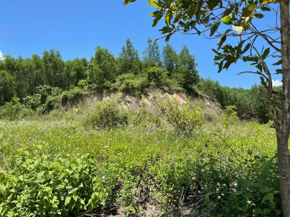 Đất nền Mặt tiền Sông Cầu Khánh Vĩnh 500m² - Tiềm năng tăng giá vượt trội!