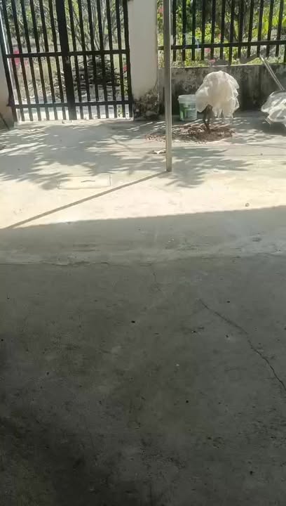 Bán Đất Suối Cát, Xuân Lộc 240m² - Sổ Tay Gần QL1A Giá 550 Triệu