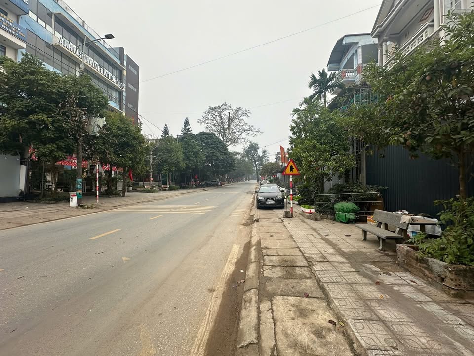 Đất Vĩnh Phúc 120m² Full Thổ Cư, Mặt Tiền Đường Bộ, Hướng Đông Nam - Giá 4.x Tỷ