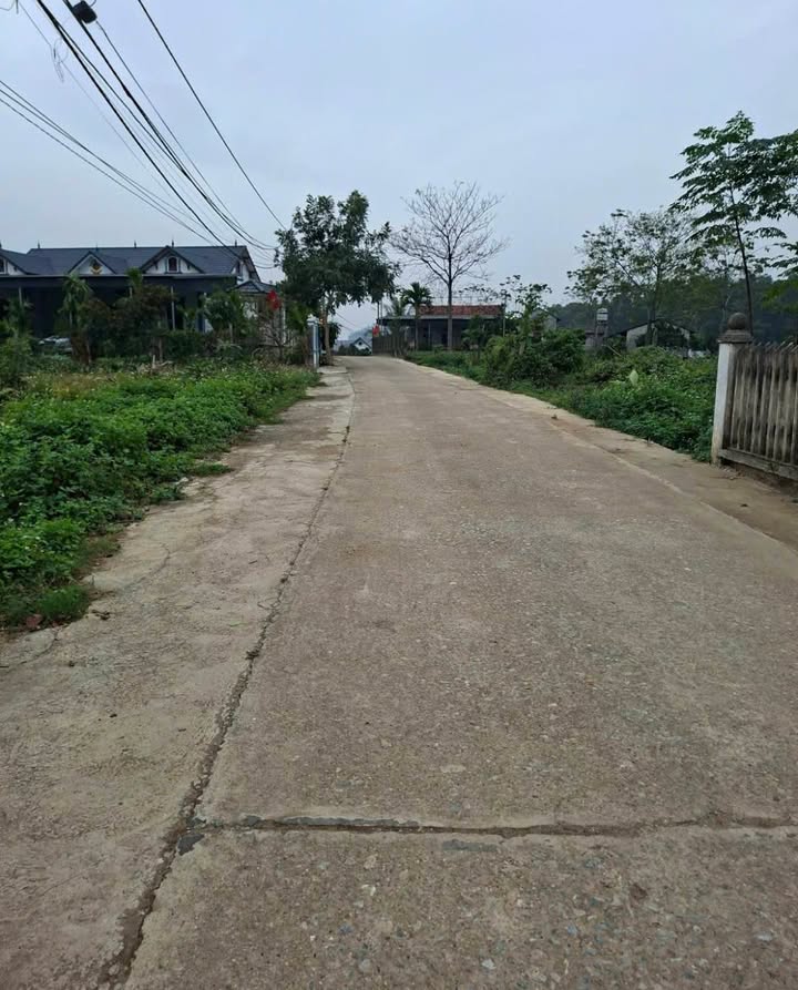 Đất Ba Vì 300m² Thôn 5 Suối Hai - Sổ đỏ chính chủ!