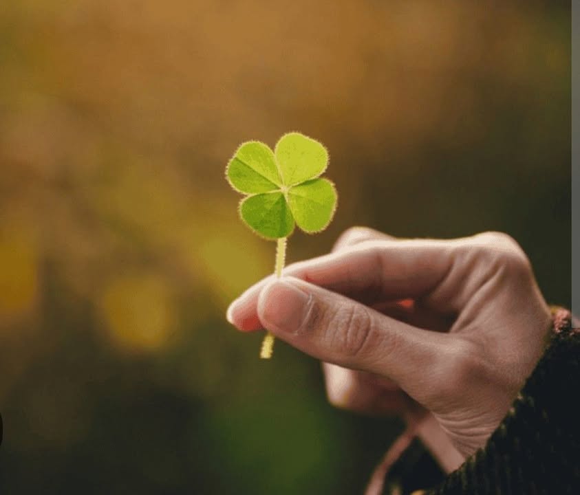 Bán Gấp 2 Căn Nhà Cấp 4 Ngon 92m² Tại Xã Sóc Trăng Cũ, Ngã Năm