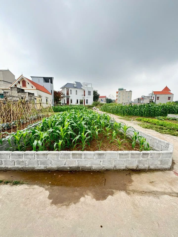 Đất nền Chương Dương, Thường Tín 63.9m² - Tiềm năng tăng giá vượt trội!