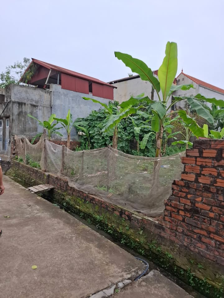 Đất nền Ân Thi 100m² giá chỉ 1 tỷ - Sổ đỏ chính chủ!