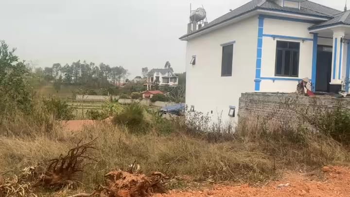 Đất Vườn Lục Nam - 400m² Sổ Đỏ Sẵn Sàng - Giá 1.9 Tỷ