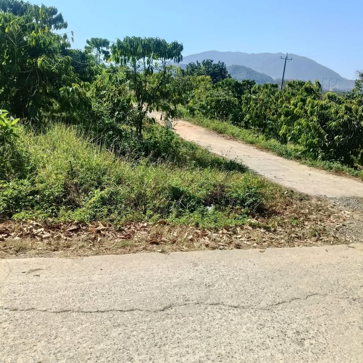 Đất Nền Krông Nô 2250m² giá 650 triệu - Tiềm Năng Tăng Giá!