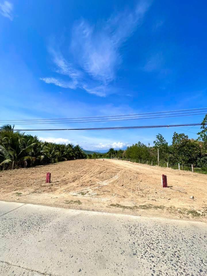 Đất nền Thạch Định Hòa Trí 208m² - Sổ đỏ chính chủ, giá chỉ 699 triệu