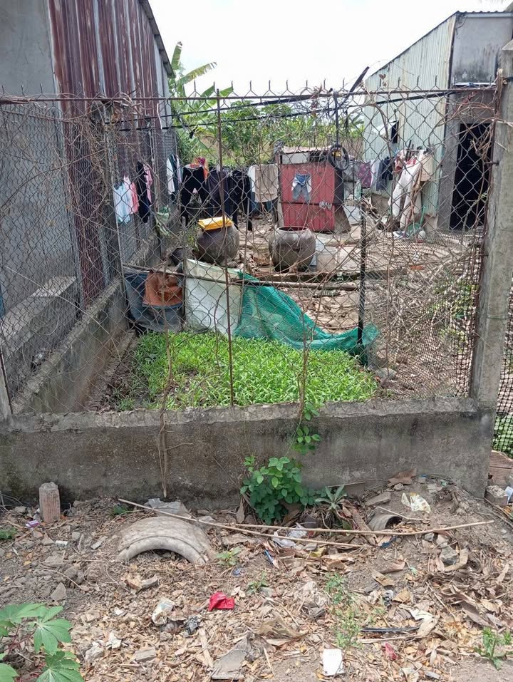 Đất nền Trương Vĩnh Ký 68m² giá 300 triệu - Tiềm năng tăng giá!